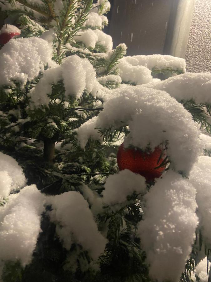 Ferienwohnungen In Erfurt Zewnętrze zdjęcie