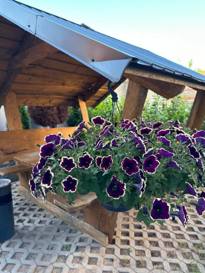 Ferienwohnungen In Erfurt Zewnętrze zdjęcie